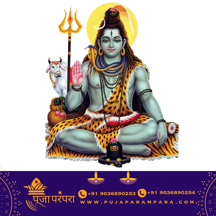 Maha Mrityunjaya Homam puja in Bangalore